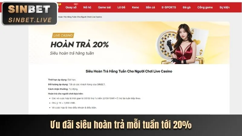 Hình ảnh hoàn trả tiền cược, ưu đãi hoàn trả cho cá cược thể thao tại ae3888